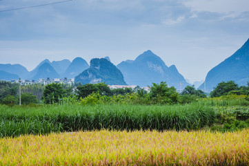 台风会经过山东吗