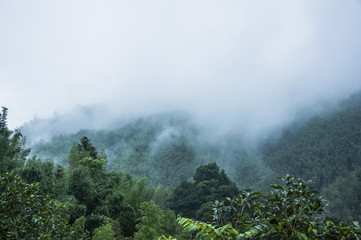 台风会经过山东吗