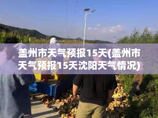 盖州市天气预报15天(盖州市天气预报15天沈阳天气情况)