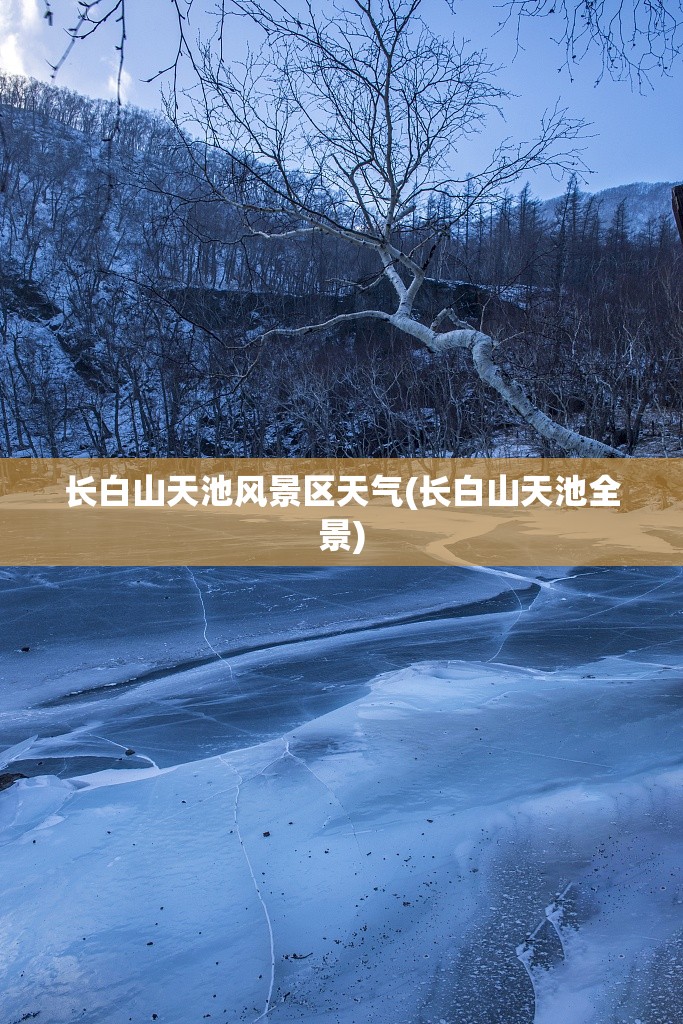 富国天博基金净值查询今日净值(富国天博基金519035今日净值)