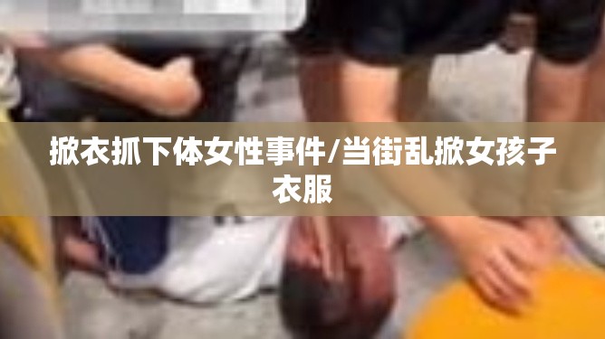 掀衣抓下体女性事件/当街乱掀女孩子衣服