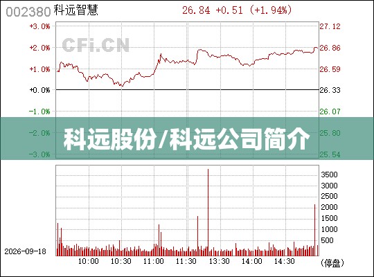 科远股份/科远公司简介 科远股份/科远公司简介