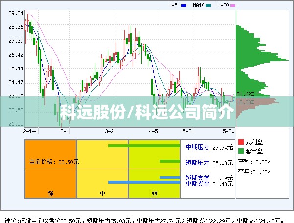 科远股份/科远公司简介 科远股份/科远公司简介