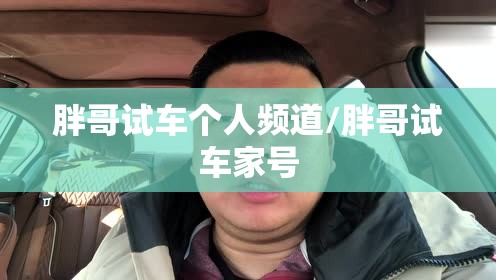 胖哥试车个人频道/胖哥试车家号