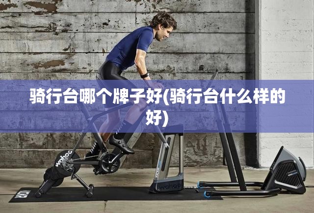 【假花仿真花批发基地,仿真花假花的批发厂家】