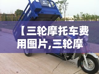 【7人座纯电动商务车二手,7人座纯电动商务车10万以下】