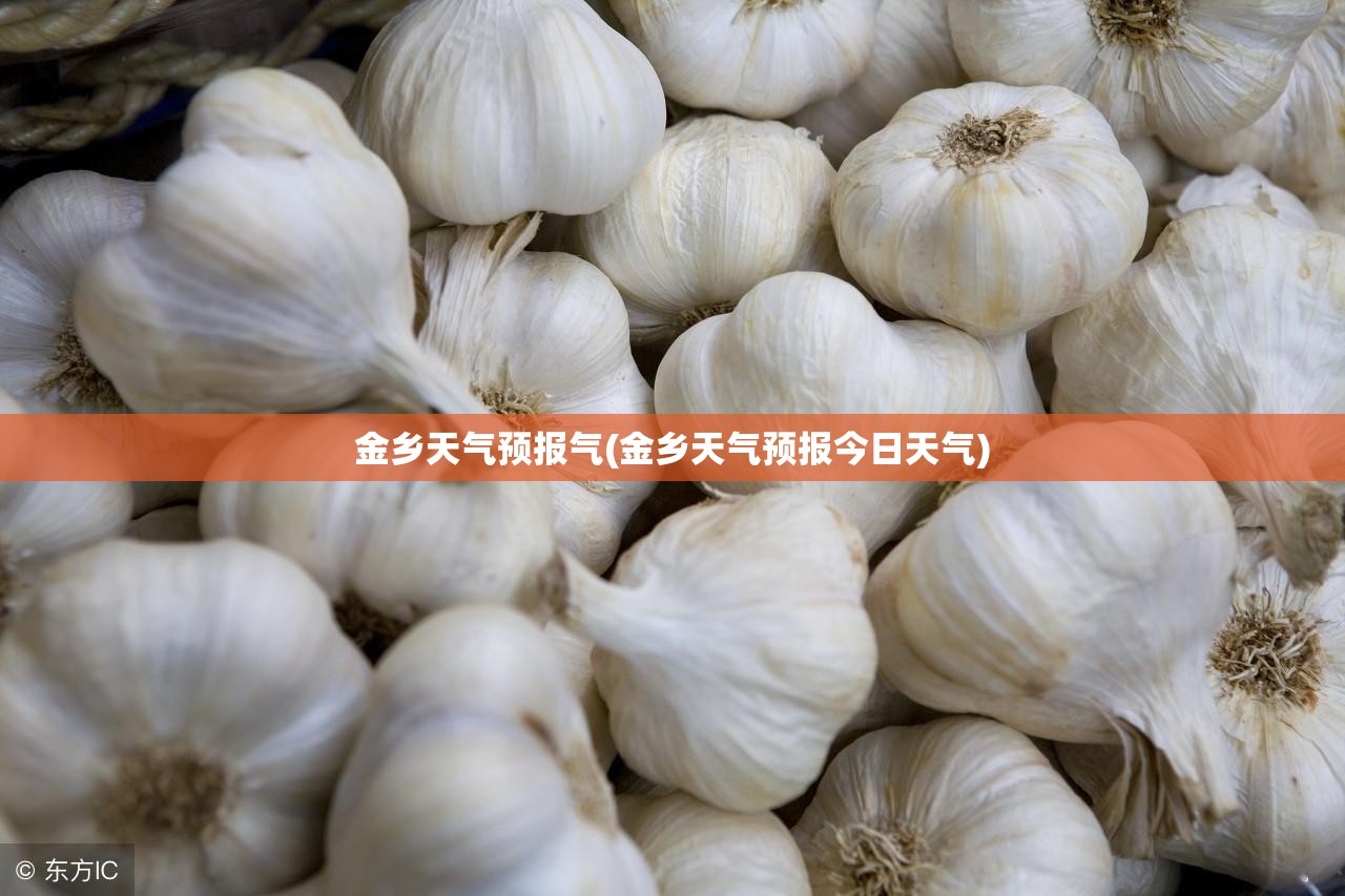 金乡天气预报气(金乡天气预报今日天气)