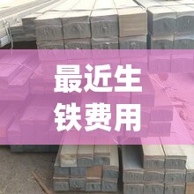 最近生铁费用行情(最近生铁费用行情新疆)