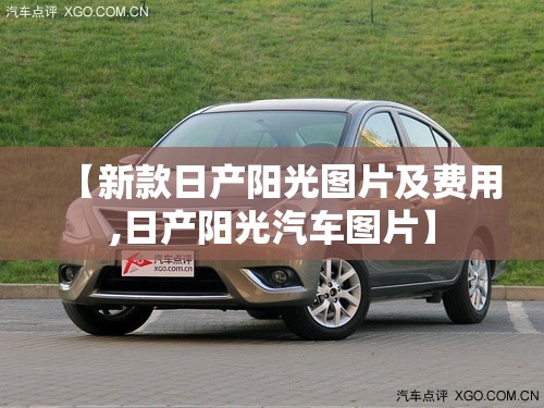 【新款日产阳光图片及费用,日产阳光汽车图片】