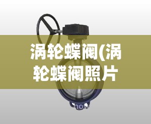 涡轮蝶阀(涡轮蝶阀照片)