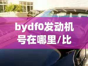 bydf0发动机号在哪里/比亚迪f0发动机号位置图
