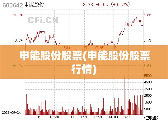 申能股份股票(申能股份股票行情)