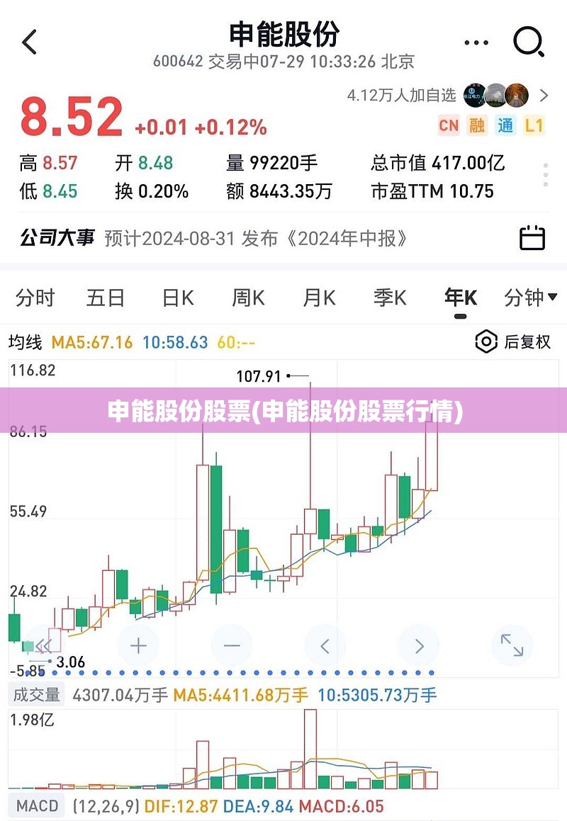 申能股份股票(申能股份股票行情)