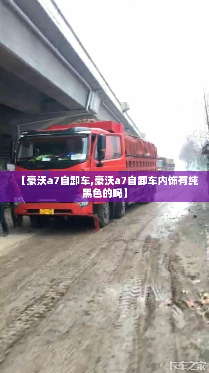 【豪沃a7自卸车,豪沃a7自卸车内饰有纯黑色的吗】