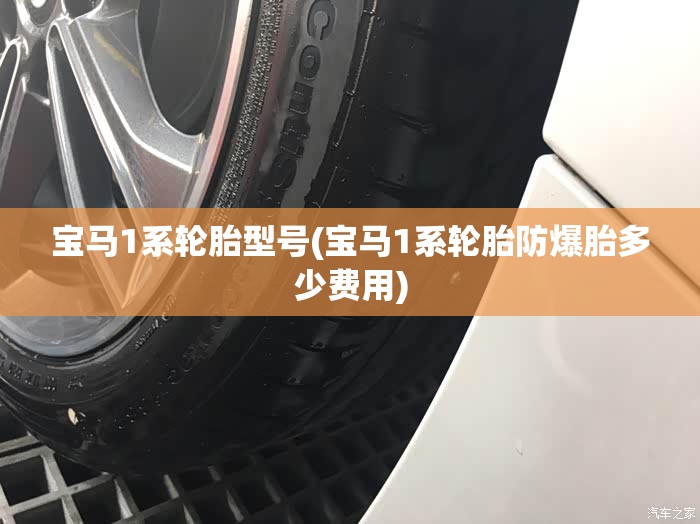 宝马1系轮胎型号(宝马1系轮胎防爆胎多少费用) 宝马1系轮胎型号(宝马1系轮胎防爆胎多少费用)
