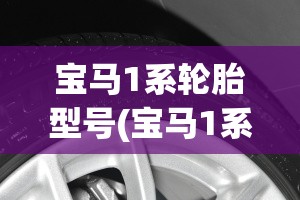 宝马1系轮胎型号(宝马1系轮胎防爆胎多少费用) 宝马1系轮胎型号(宝马1系轮胎防爆胎多少费用)
