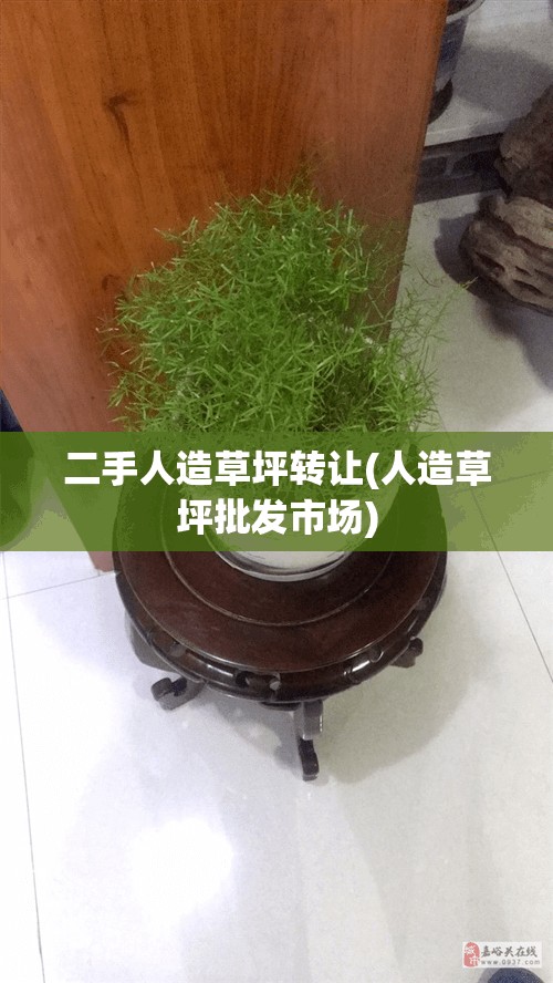 二手人造草坪转让(人造草坪批发市场)