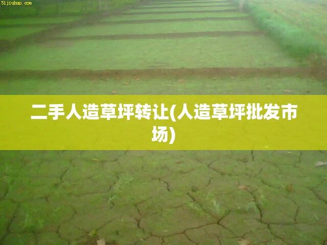 二手人造草坪转让(人造草坪批发市场)