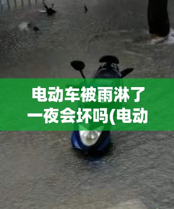 电动车被雨淋了一夜会坏吗(电动车被雨淋了一夜会坏吗)