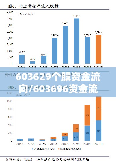603629个股资金流向/603696资金流向全览 603629个股资金流向/603696资金流向全览