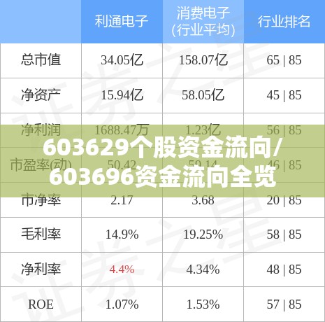 603629个股资金流向/603696资金流向全览 603629个股资金流向/603696资金流向全览