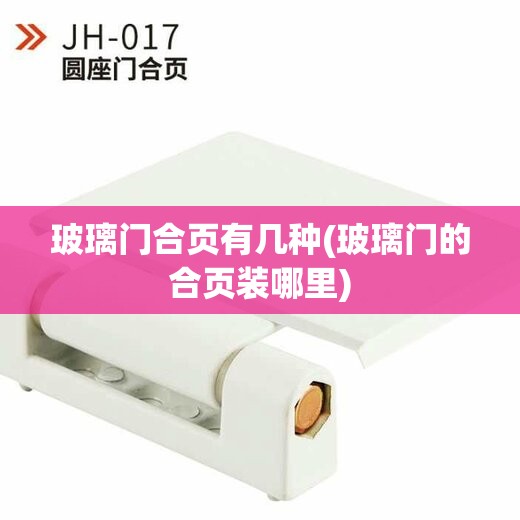 玻璃门合页有几种(玻璃门的合页装哪里)