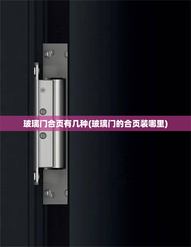 玻璃门合页有几种(玻璃门的合页装哪里)