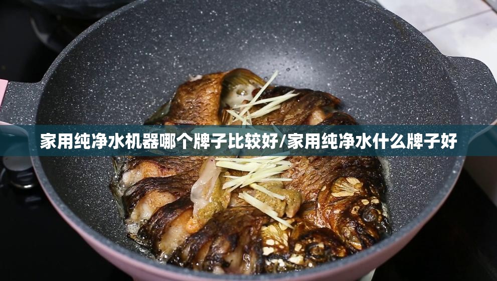 家用纯净水机器哪个牌子比较好/家用纯净水什么牌子好