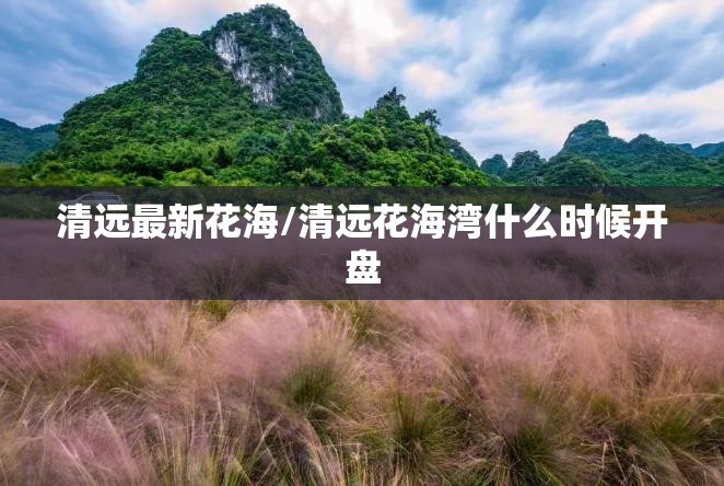 清远最新花海/清远花海湾什么时候开盘