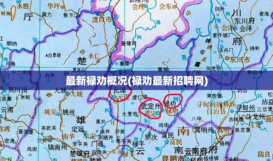最新禄劝概况(禄劝最新招聘网)