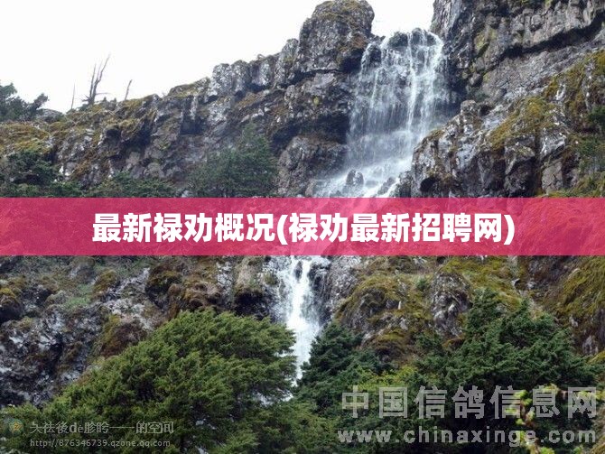 最新禄劝概况(禄劝最新招聘网)