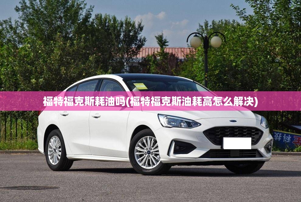 福特福克斯耗油吗(福特福克斯油耗高怎么解决)