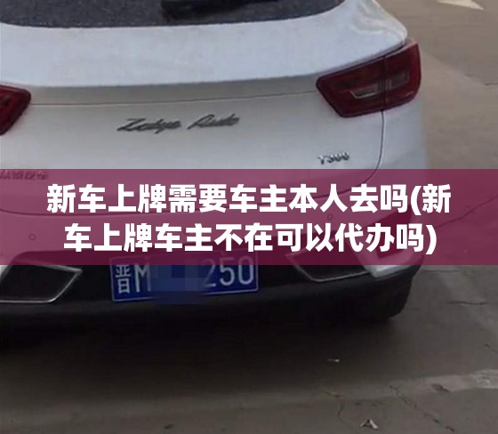 新车上牌需要车主本人去吗(新车上牌车主不在可以代办吗)