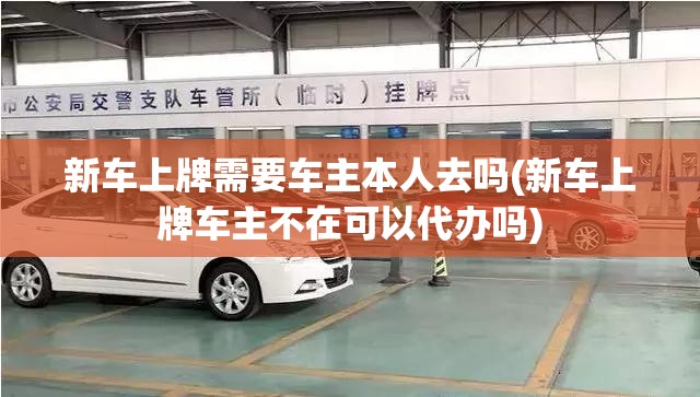 新车上牌需要车主本人去吗(新车上牌车主不在可以代办吗)