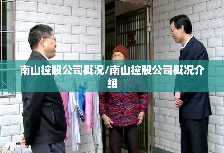南山控股公司概况/南山控股公司概况介绍
