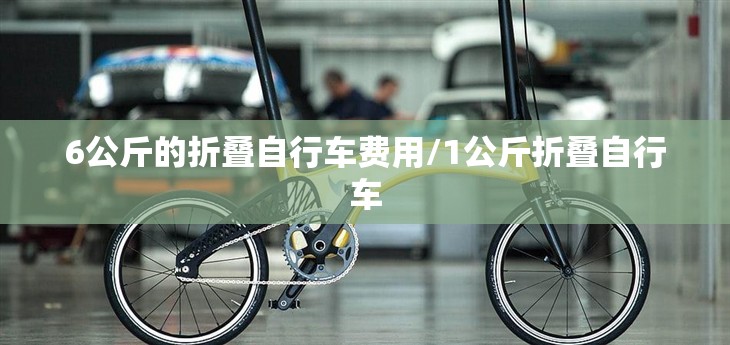 6公斤的折叠自行车费用/1公斤折叠自行车