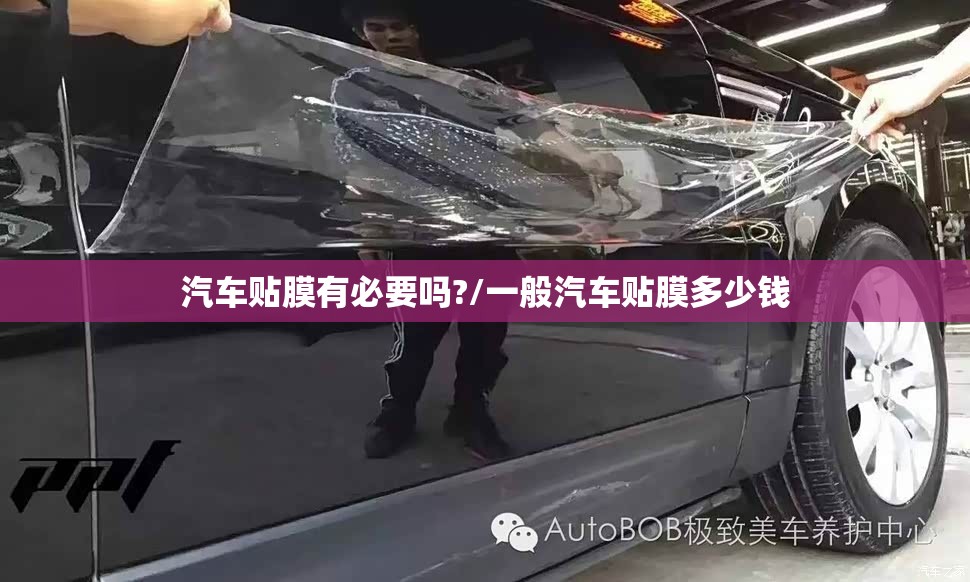 驾校电话联系电话号码/驾校电话