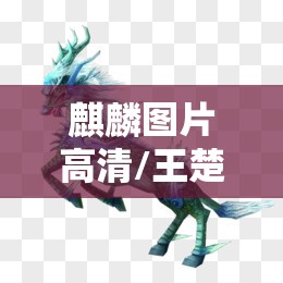 麒麟图片高清/王楚钦麒麟图片高清