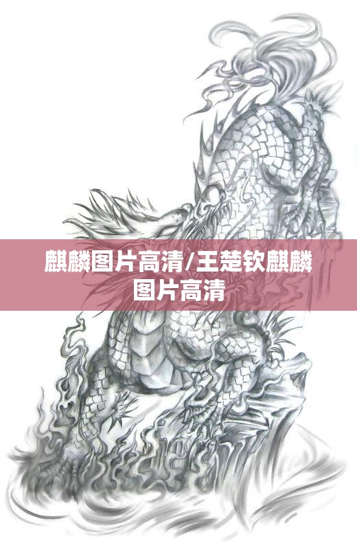 麒麟图片高清/王楚钦麒麟图片高清