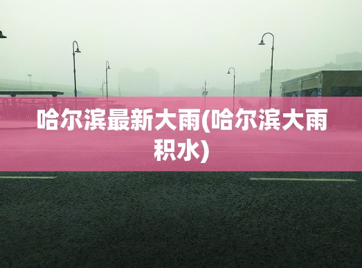 哈尔滨最新大雨(哈尔滨大雨积水)