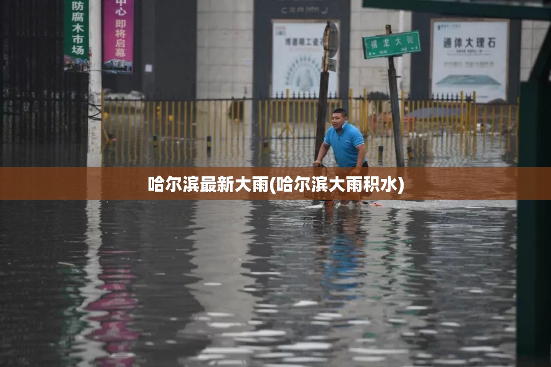 哈尔滨最新大雨(哈尔滨大雨积水)