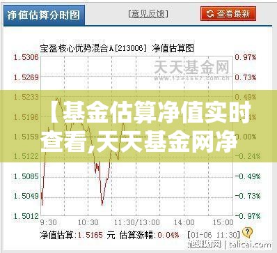 【基金估算净值实时查看,天天基金网净值查询】