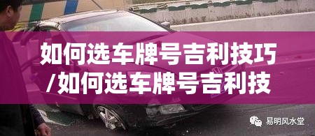 如何选车牌号吉利技巧/如何选车牌号吉利技巧图解