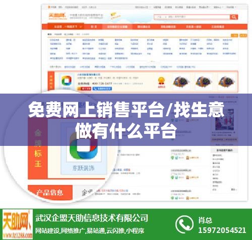 免费网上销售平台/找生意做有什么平台