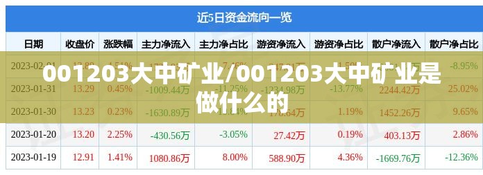 001203大中矿业/001203大中矿业是做什么的