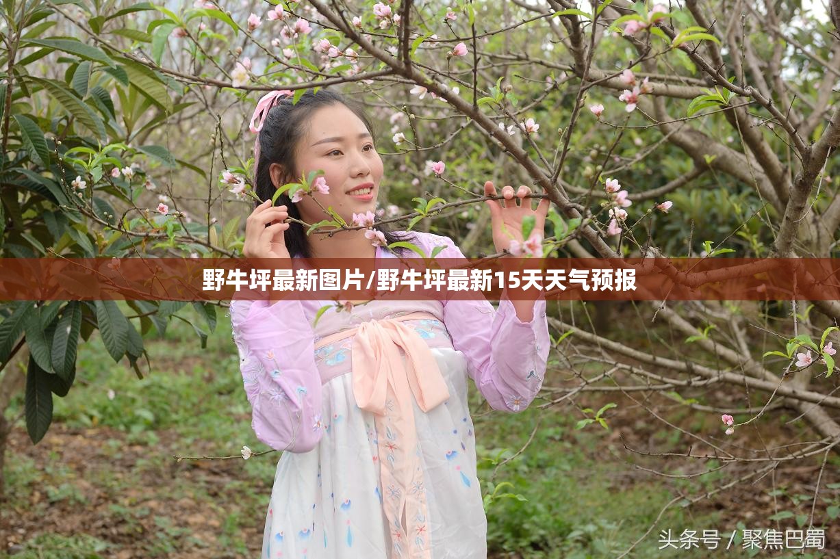 翡翠的费用/干青翡翠的费用