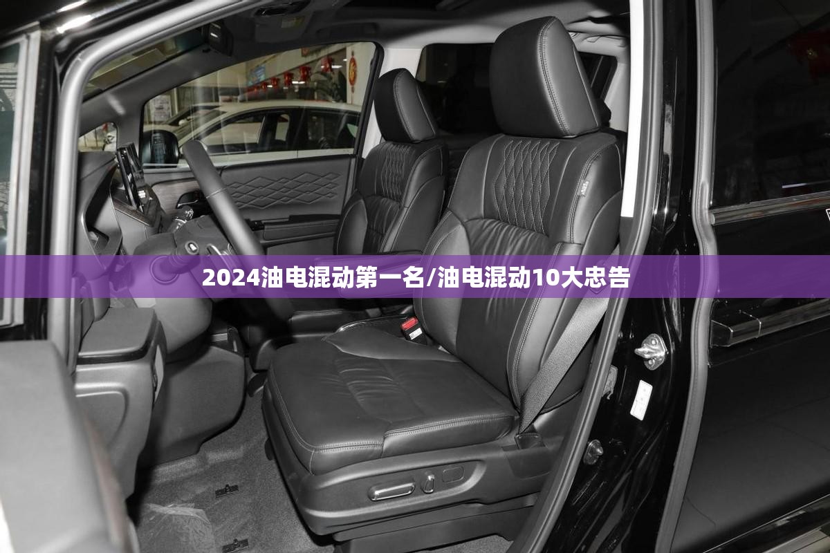 2024油电混动第一名/油电混动10大忠告