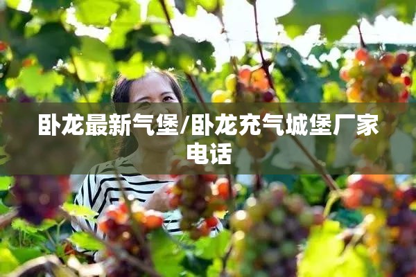 卧龙最新气堡/卧龙充气城堡厂家电话