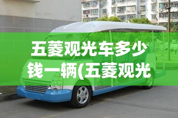 五菱观光车多少钱一辆(五菱观光车方向机支架多少钱)