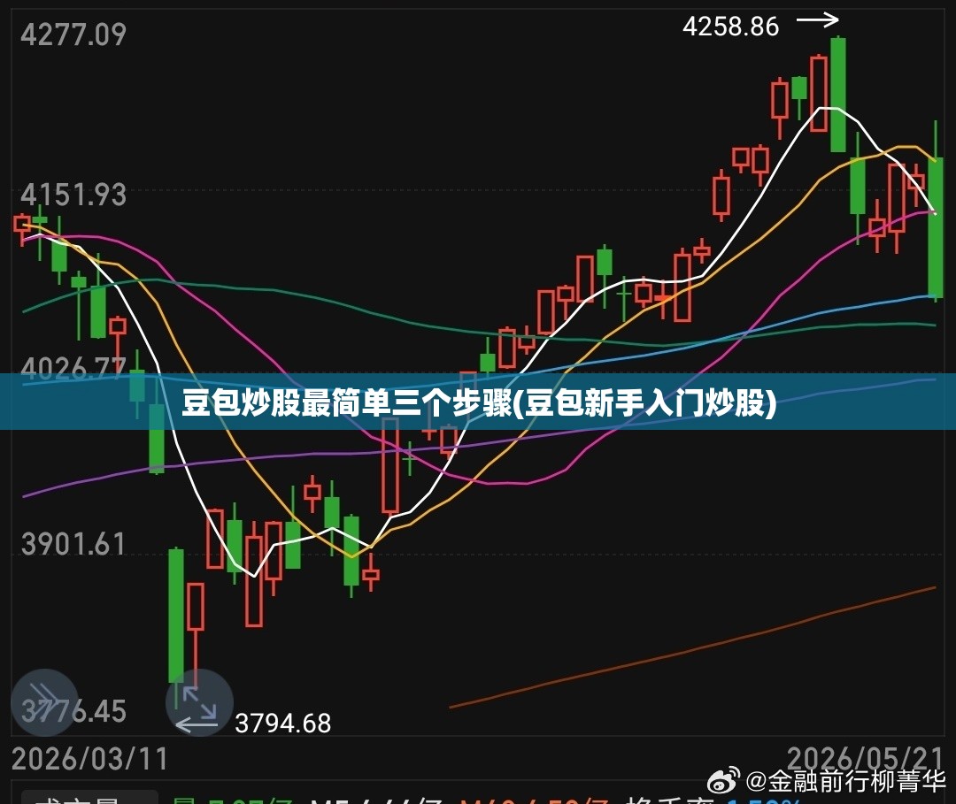 豆包炒股最简单三个步骤(豆包新手入门炒股)